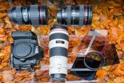 Camera equipment on autumn leaves, including a DSLR body, three lenses, and camera filters.