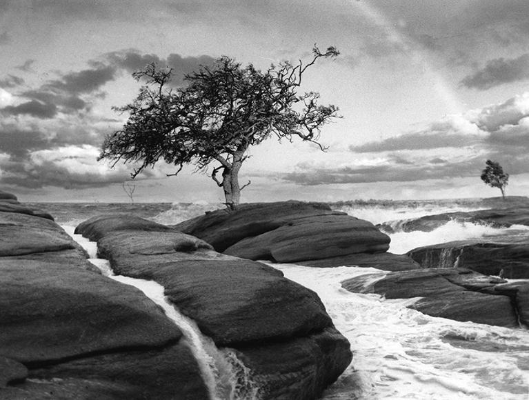 A lone tree stands on rocky terrain surrounded by flowing water, with another tree in the background and a faint rainbow visible in the cloudy sky.