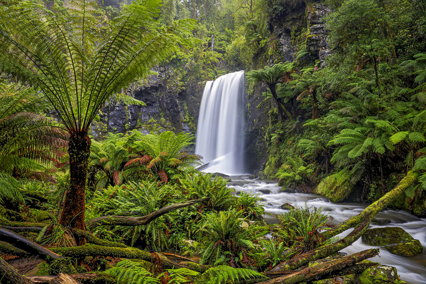 A waterfall cascades into a stream surrounded by dense green ferns and moss-covered rocks in a lush forest setting.
