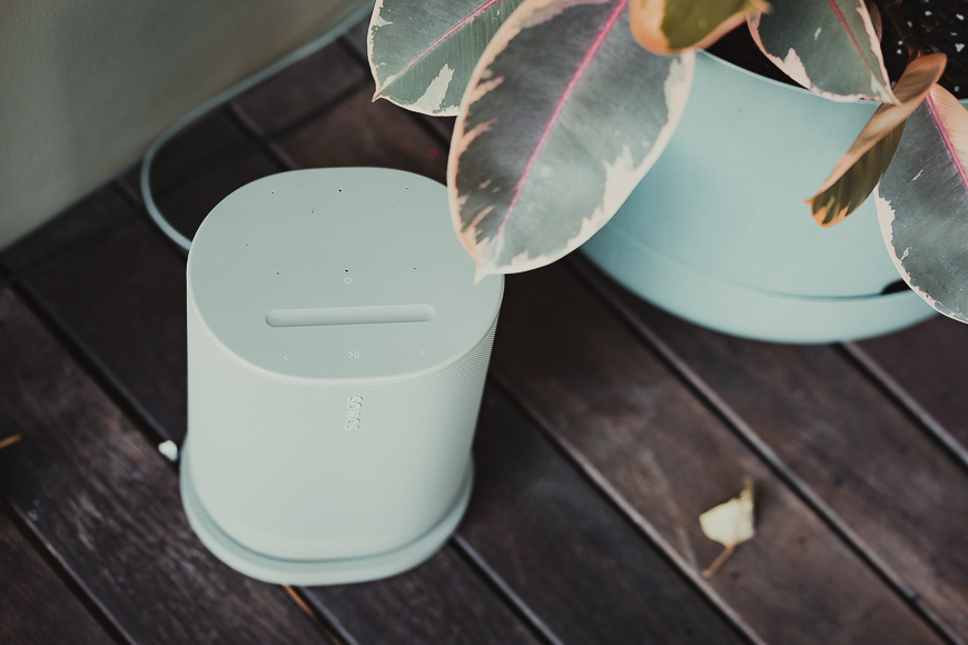 A light gray Sonos speaker sits on a dark wooden surface next to a potted plant with green and pink leaves.
