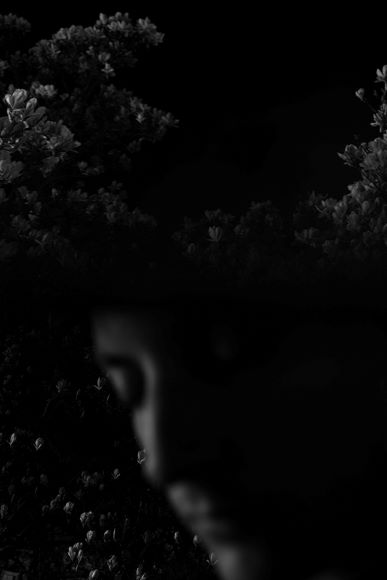 A dark, moody image showing blurry flowers in the top half and an indistinct, shadowed face in the lower half, partially obscured by darkness.