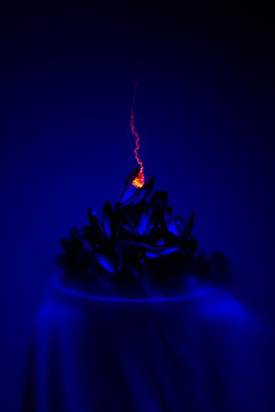 A pile of dark mussel shells sits on a table, with a small burst of orange light and a streak above them against a deep blue background.